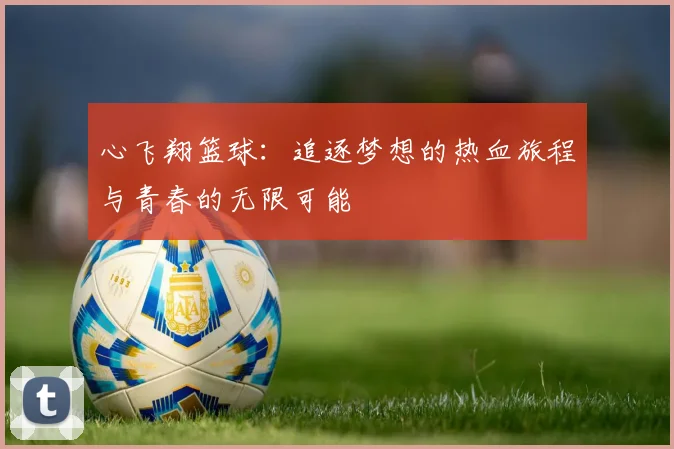 心飞翔篮球：追逐梦想的热血旅程与青春的无限可能