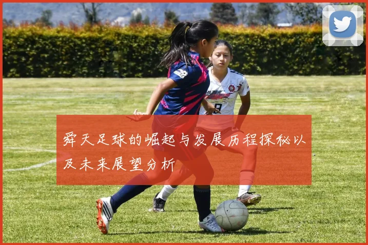 舜天足球的崛起与发展历程探秘以及未来展望分析