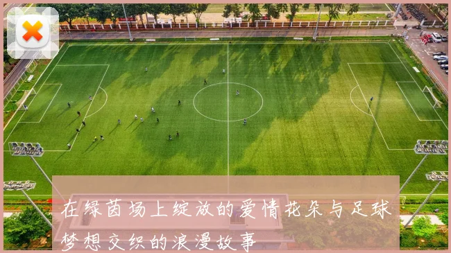 在绿茵场上绽放的爱情花朵与足球梦想交织的浪漫故事