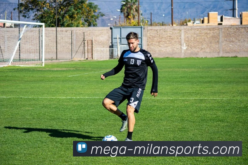 米兰体育平台生态图