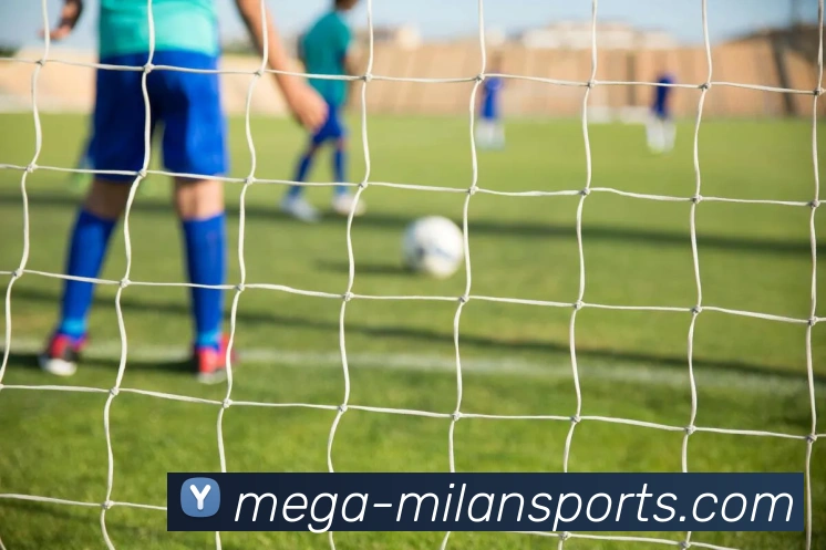 辅助工具 辅助工具